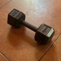 20 lb dumbbell