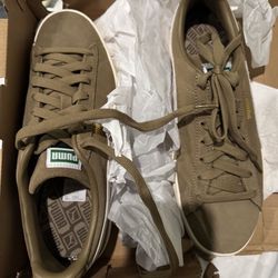 Pumas