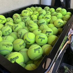 50 tennis ball in great condition