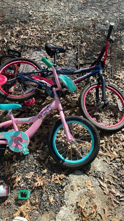 2 Bikes 1 Girls Size16 Inch Boys Size 20 Inches 