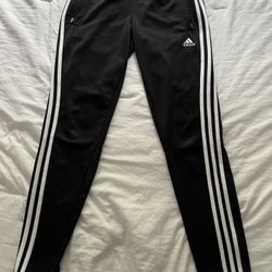 Adidas Climacool Pants (women’s size M)