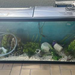 Fish Tank 55 Gallons 