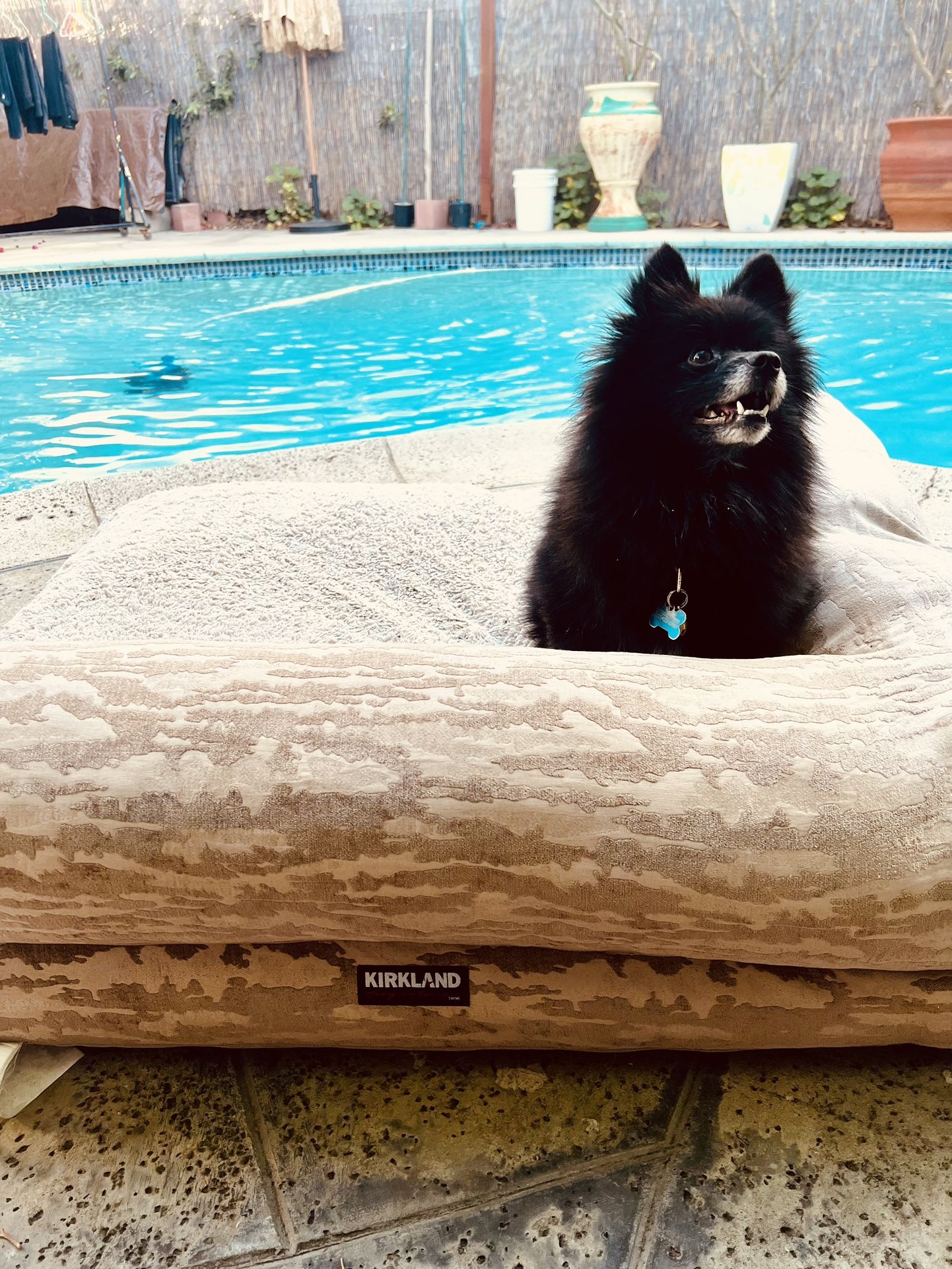 Large Doge Bed 
