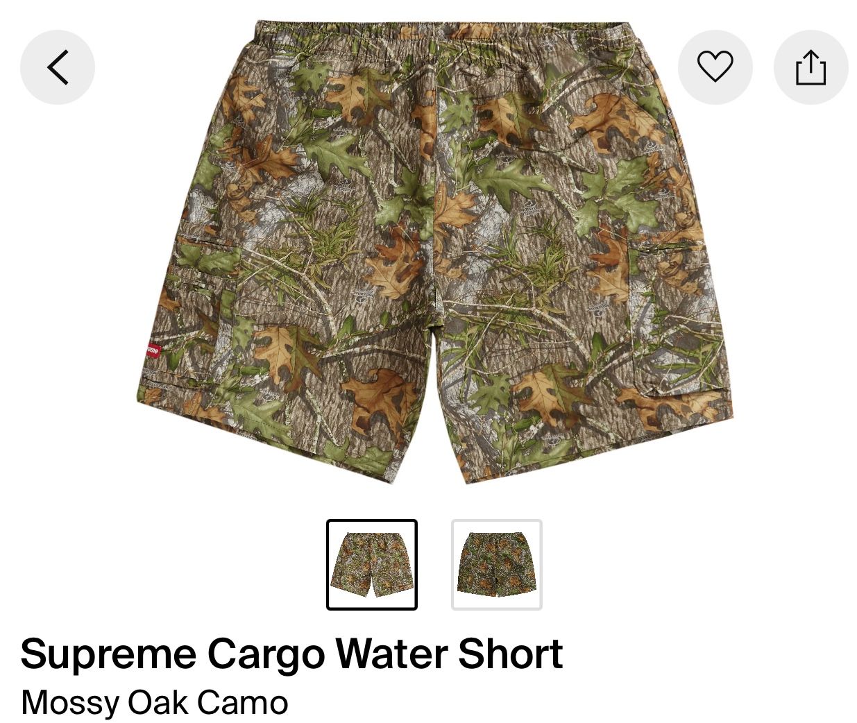 Supreme Cargo Water Shorts