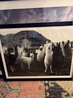 Artwork with Frames