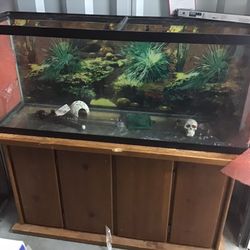 45 Gallon Aquarium