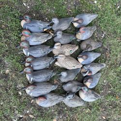 Duck Decoys With String And Weights