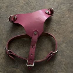 Puppy Harness