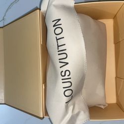 Louis Vuitton Multicolor Bag 