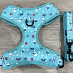 Dog Harness And Leash Set