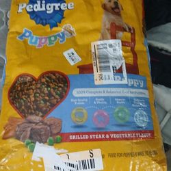 Puppy Food