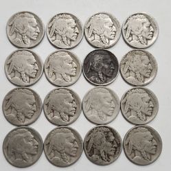 16 Antique Buffalo Nickels $25 For All