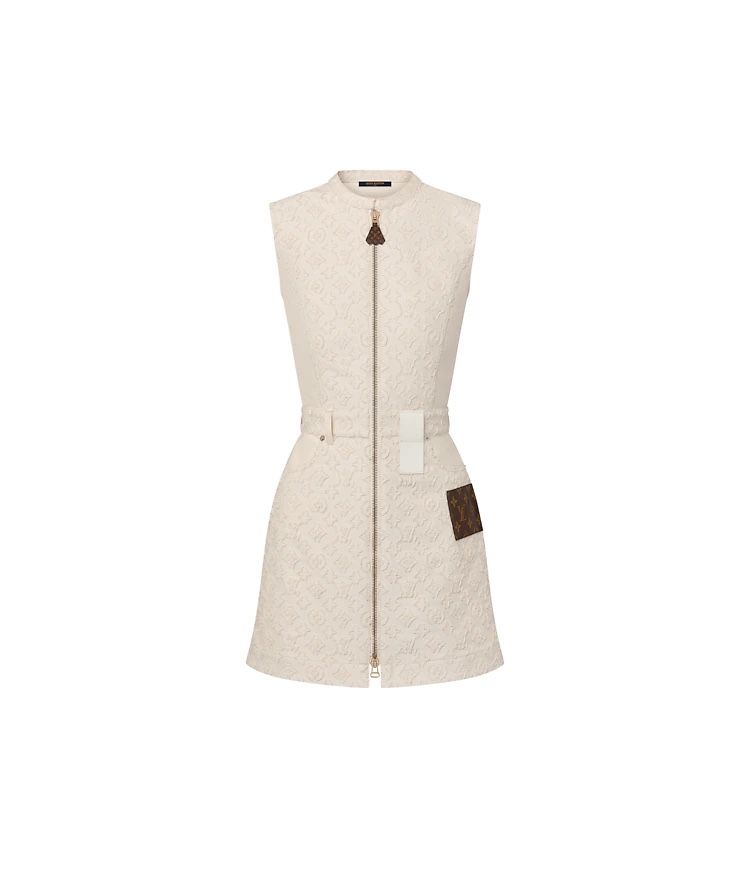 Louis Vuitton Dress