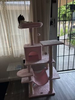 Pink cat tree