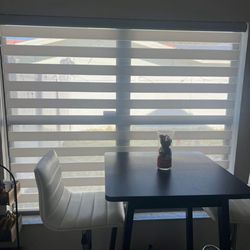 Roller shades- zebra light gray