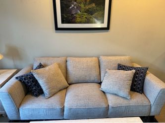Couch and chair set, perfect condition