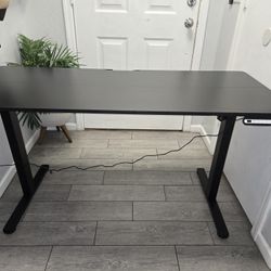 GTRACING Electric Standing Desk, 55 x 24 Inches Sit Stand up Desk with Memory Preset Controller, Escritorio