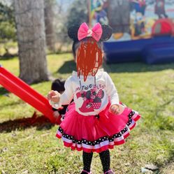 Pink And Black Tutu 