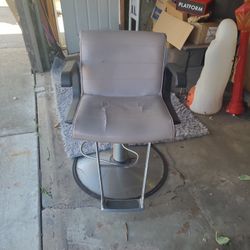Salon Chair