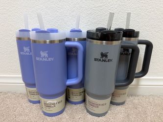 Stanley Quencher H2.0 FlowState Tumblers