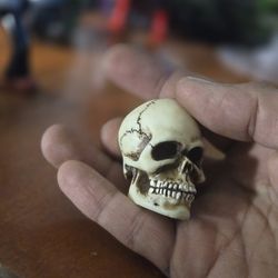 miniature human skull replica 96 W.U Resin