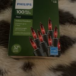 Brand new Christmas lights