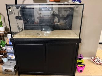 Free Tank and Stand PLEASE READ the Description