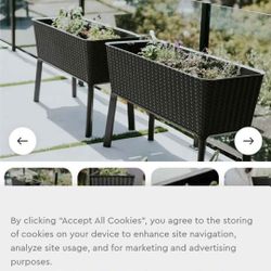 Keter Garden Bed