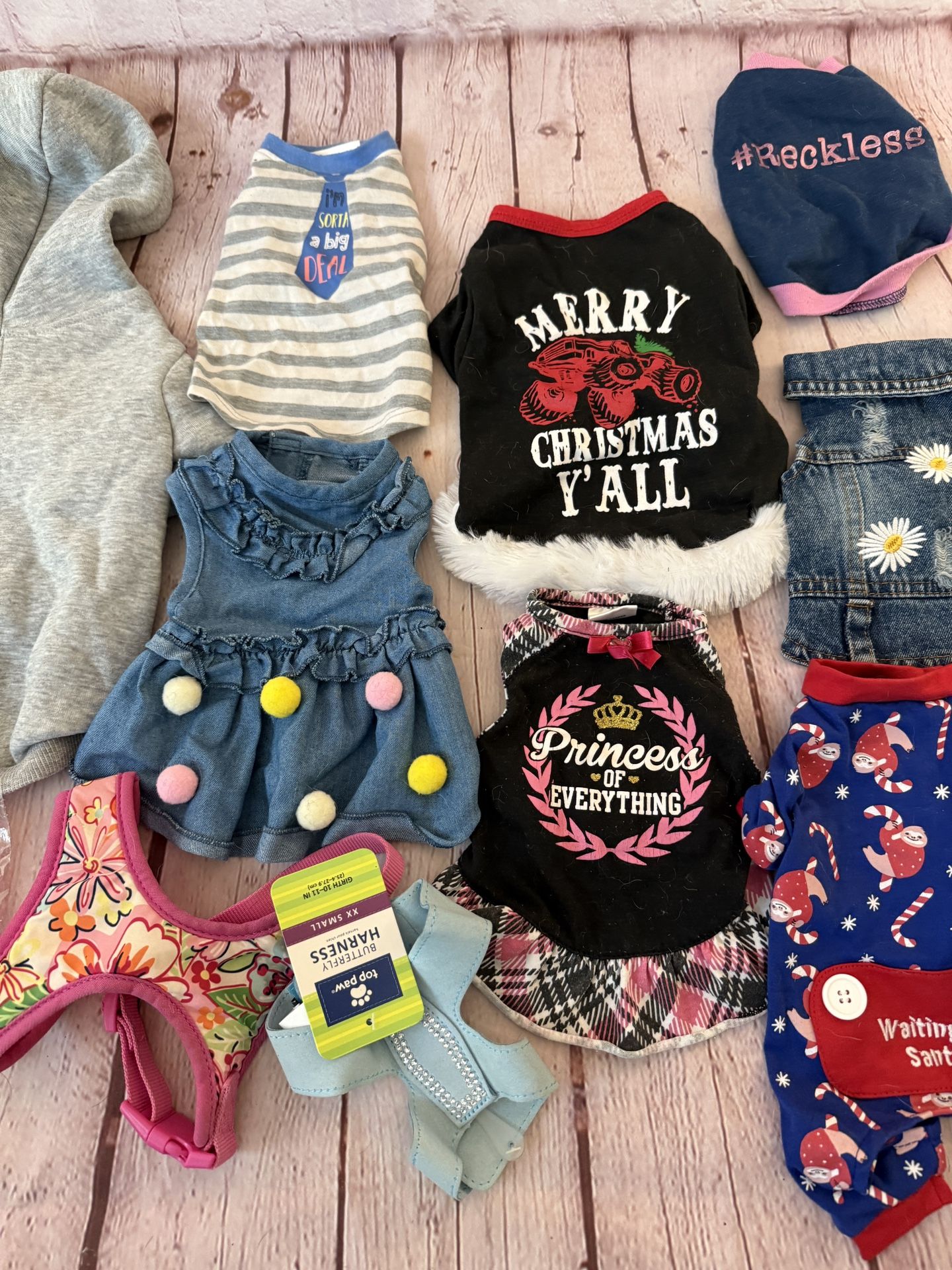 XS and Small Dog Accessories