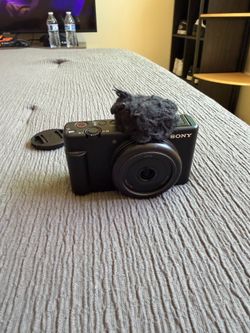 Sony zv 1f