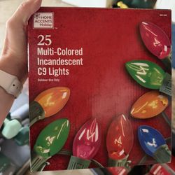 Outdoor Christmas Lights/decorations 