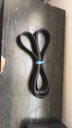 Serpentine Belt
