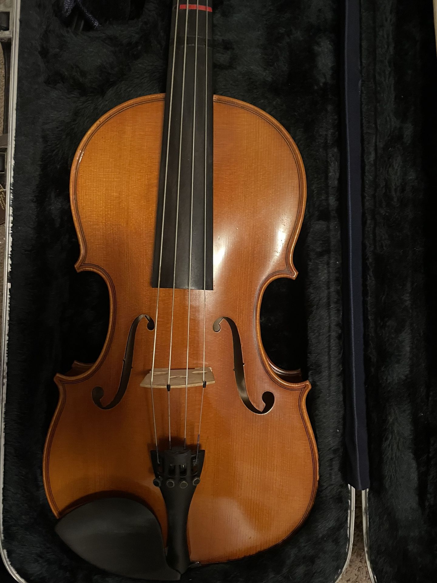 Full Size Viola