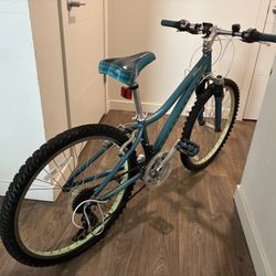 Blue Raven Performance Bike With Light Green 26in Rim And Tires 