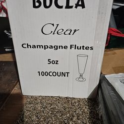 Plastic Champagne Flutes