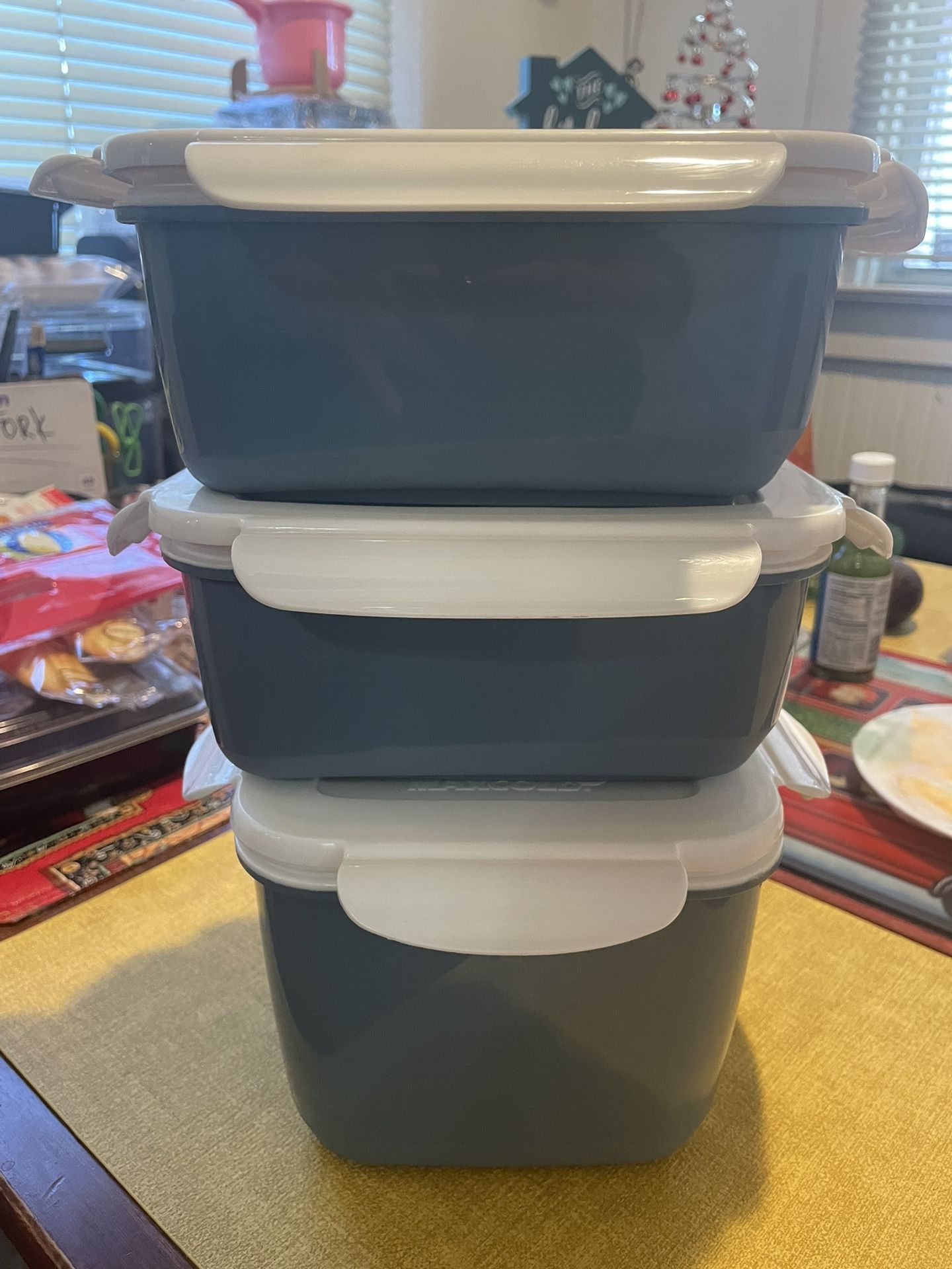 IGLOO Maxcold freezer container (NEW)