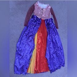New xl hocus pocus dress costume witch renaissance Victorian princess