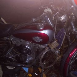 1976 Fxe Lowrider 74ci Shovelhead.  
