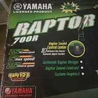 Raptor electric 4 Wheeler