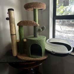 Cat Tree, Scratcher, And Litter Box 