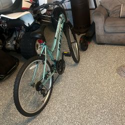 Bicicleta Casi Nueva No Se A Usado