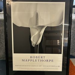 3 Robert Mapplethorpe Framed Prints