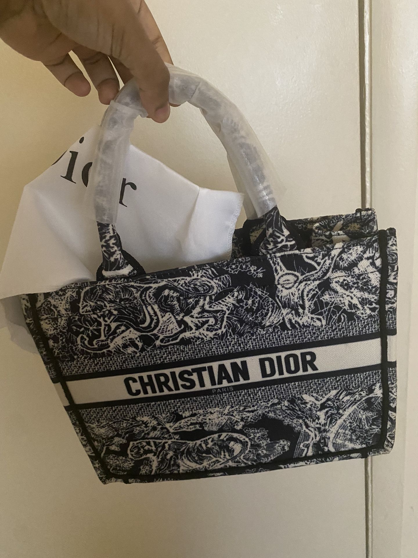 Dior Mini Tote Bag