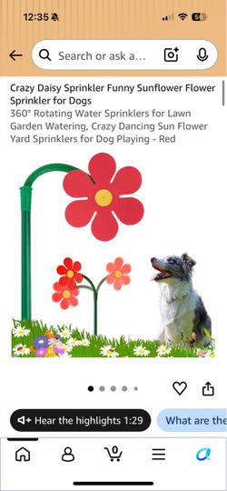 Crazy Daisy Sunflower Sprinkler for Dogs