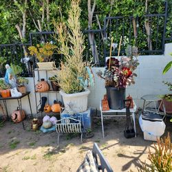 Open Big Plant Yard Sale Today !!!! Open Now!!!!