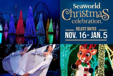 Seaworld Christmas Tickets