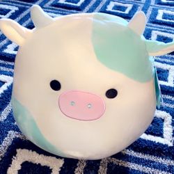 12 In belana Cow Squishmallow 