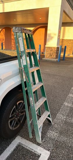 Werner Ladder 225 lbs
