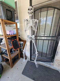 Posable Halloween Skeleton, Life Size Skeleton Bones with Movable Joints for Halloween Spooky Scene 1pc