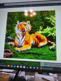 Twenty seven inch large tiger